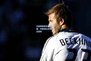 彩经网_王者荣耀世界冠军杯落幕，中国战队斩获全球总冠军