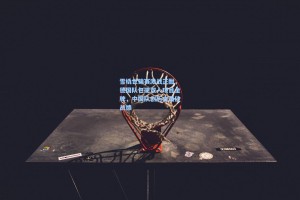 彩经网-雪橇世锦赛激战正酣，德国队包揽双人项目金牌，中国队创历史最佳战绩